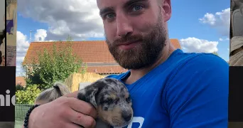 antoine pet sitter à BAPAUME 62450