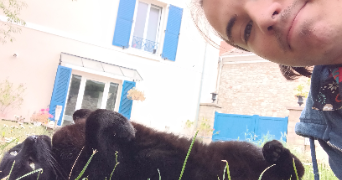 tristan pet sitter à VERNOUILLET 78540_1