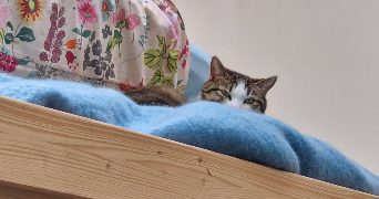 lélia pet sitter à PARIS 10 75010_2