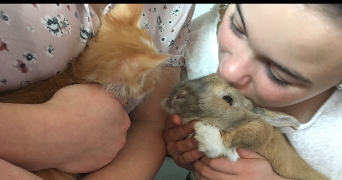 lilas pet sitter à BALMA 31130_3