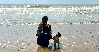 aurelie pet sitter à VERNOUILLET 78540_2