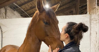 perrine pet sitter à PESSAC 33600_0