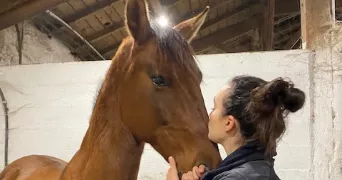 perrine pet sitter à PESSAC 33600