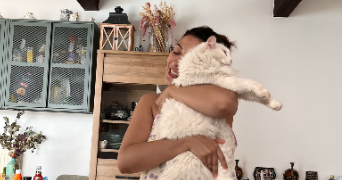 aya pet sitter à CHATILLON 92320_0