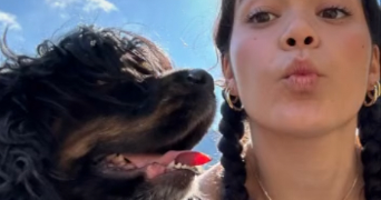 korkmaz pet sitter à STRASBOURG 67000_8