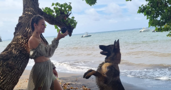 ophélie pet sitter à JOUY EN JOSAS 78350_2