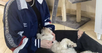 agathe pet sitter à MORSANG SUR ORGE 91390_3