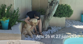 corine pet sitter à MARSEILLE 12 13012_2