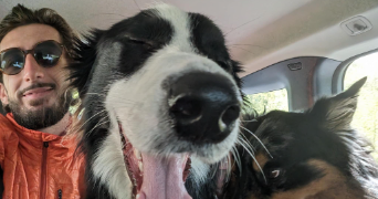 mathias pet sitter à LAVEYRON 26240_0