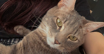 emma pet sitter à MONTLOUIS SUR LOIRE 37270_4
