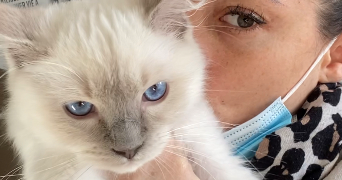 marlene pet sitter à SERIGNAN 34410_4