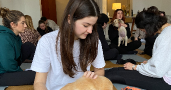 josephine pet sitter à LILLE 59000_2