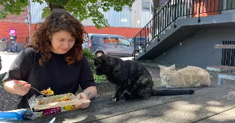 auriane cat sitter à PARIS 06 75006