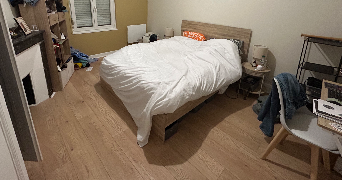 luna pet sitter à TOURS 37000_8