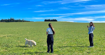 lucile pet sitter à CHAMPCLAUSE 43260_1