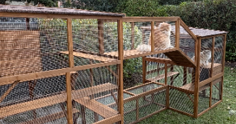 clémence pet sitter à Chamalières 63400_7