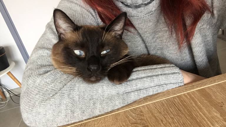 adeline pet sitter à Montelier 26120_1