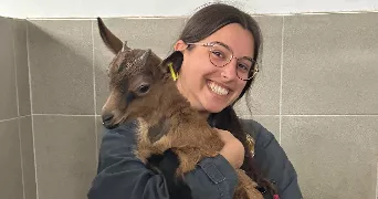 célia pet sitter à ST MALO 35400
