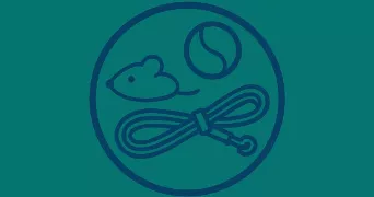 amélie pet sitter à DAVENESCOURT 80500