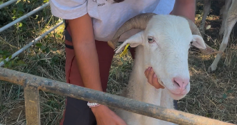 emie pet sitter à ST GIRONS 09200_1