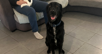 manon pet sitter à CARMAUX 81400_3