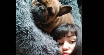 elsa pet sitter à BOURG EN BRESSE 01000_1