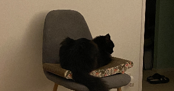 valerie pet sitter à LA MONTAGNE 44620_0
