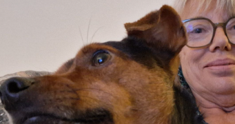 nathalie pet sitter à MERVILLE FRANCEVILLE 14810_9