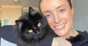 deva pet sitter à NERIGEAN 33750_0