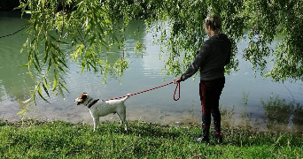 Louane pet sitter à BOISREDON 17150