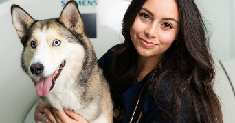 eléa pet sitter à LE PRADET 83220_9