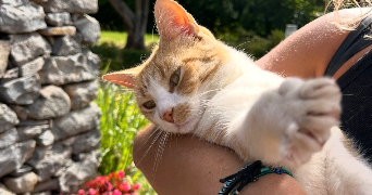 pauline pet sitter à ST GERMAIN SUR MORIN 77860_3