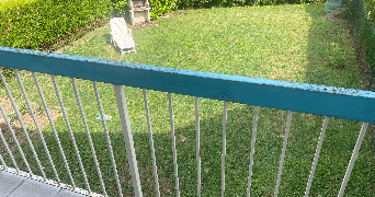 anais pet sitter à TOUL 54200_1