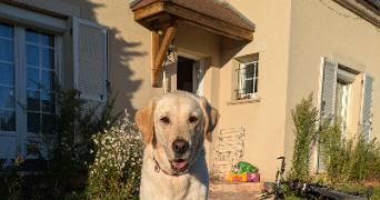 camille  pet sitter à VARENNES JARCY 91480_4