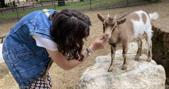 victoria pet sitter à REIGNAC 33860_5