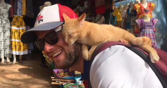 florent pet sitter à TOULOUSE 31300_7