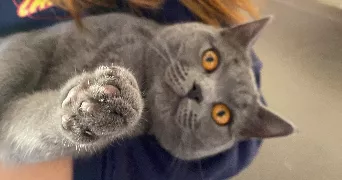 emilie pet sitter à LA GARENNE COLOMBES 92250