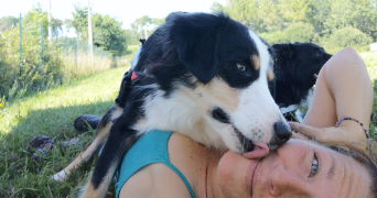 valentine pet sitter à HERBIGNAC 44410_9