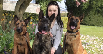 lina pet sitter à Gournay-en-Bray 76220_1