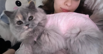 justine pet sitter à LES PAVILLONS SOUS BOIS 93320_2