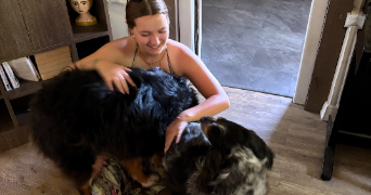 lahna pet sitter à ROUEN 76000_1