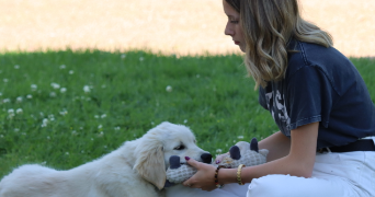 eloise pet sitter à VICHY 03200_7