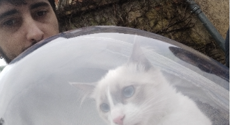 christal cat sitter à L ISLE JOURDAIN 32600_0