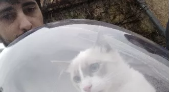 christal cat sitter à L ISLE JOURDAIN 32600