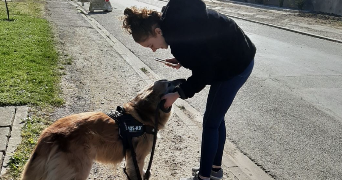 emma pet sitter à FLEURY LES AUBRAIS 45400_5