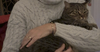yuna pet sitter à BORDEAUX 33000_2