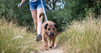 johanna pet sitter à TOULOUSE 31100_5