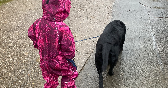 tatiana pet sitter à BEYREN LES SIERCK 57570_2