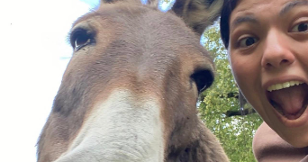 nesrine pet sitter à EYBENS 38320_3