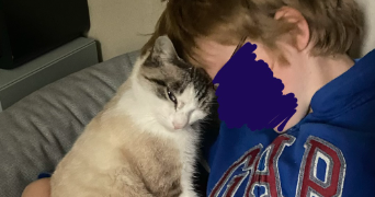 typhaine pet sitter à ST LAMBERT 78470_2